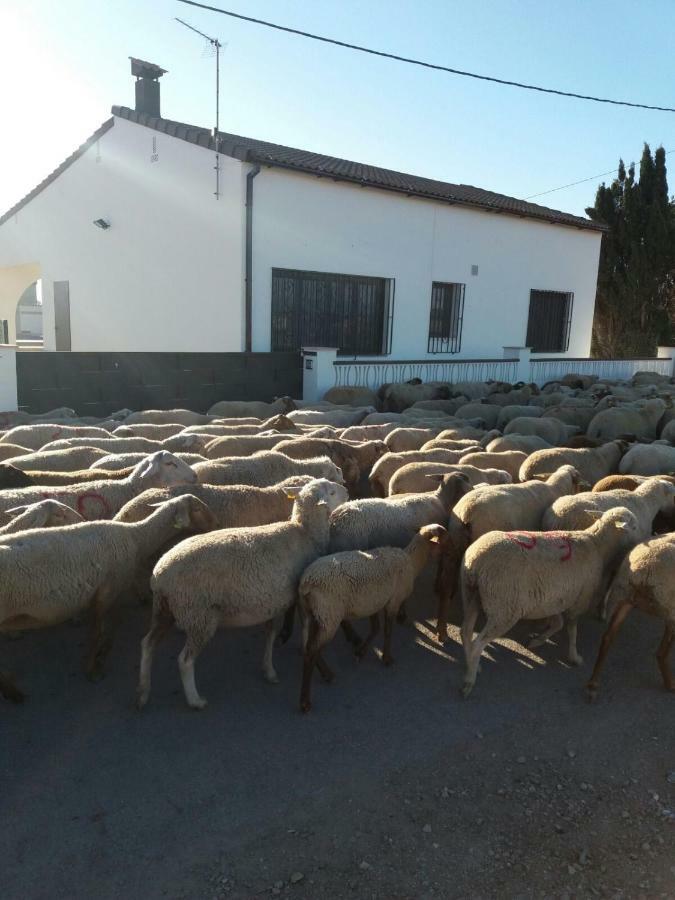La Pageseta * Sant Jaume d'Enveja